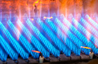 Flempton gas fired boilers